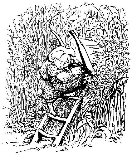 Pig Robinson carrying his
basket down a ladder